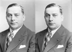 Harald Berglund