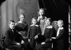 Mörk, familjegrupp.