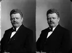 Krokström J. W.