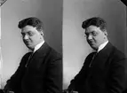 Franzén direktör