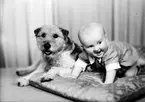Gossen Nordgren med hunden