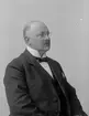 Wilhelm Sundin, provinsialläkare.