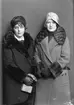 Brunander och Serrander