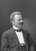 Mansporträtt