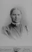 C. G. Pettersson