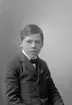 Walfrid Adamsson