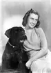 Fröken Birgit Sundeman och hennes hund. Norra Kungsgatan 3, Gävle. November 1944.