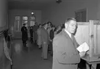 Från valdagen. Den 15 september 1946. Man vid röstskärm