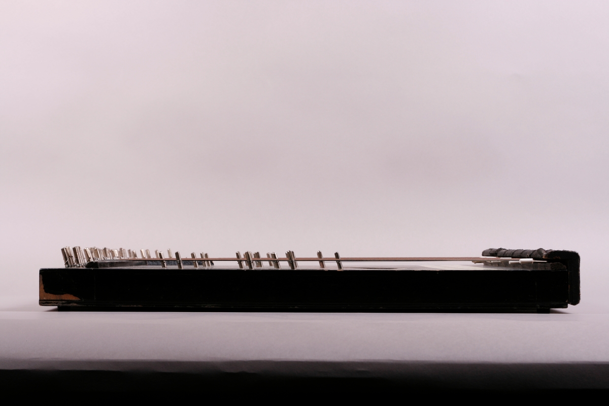 Rektangulær korpus i svartmalt tre. Buet sarg på høyre side, sett forfra. Et anheng er påskrudd nederst på instrumentet, og beskytter strengefestet. Dekor i form av to paralelle linjer går langs ytterkanten på lokket. Stemmestokk og stol i øvre kant. Blomstermotiv på lokket, over lydhullet. Etikett inne i lydhullet; blå bokstaver på hvitt papir. 

Citeren har sju akkorder: F, C, G, D, A, E, H. Totalt 64 strenger. Tersen i hver akkord kan endres ved hjelp av en spake som kan løftes opp. Dermed kan man spille i både dur og moll.