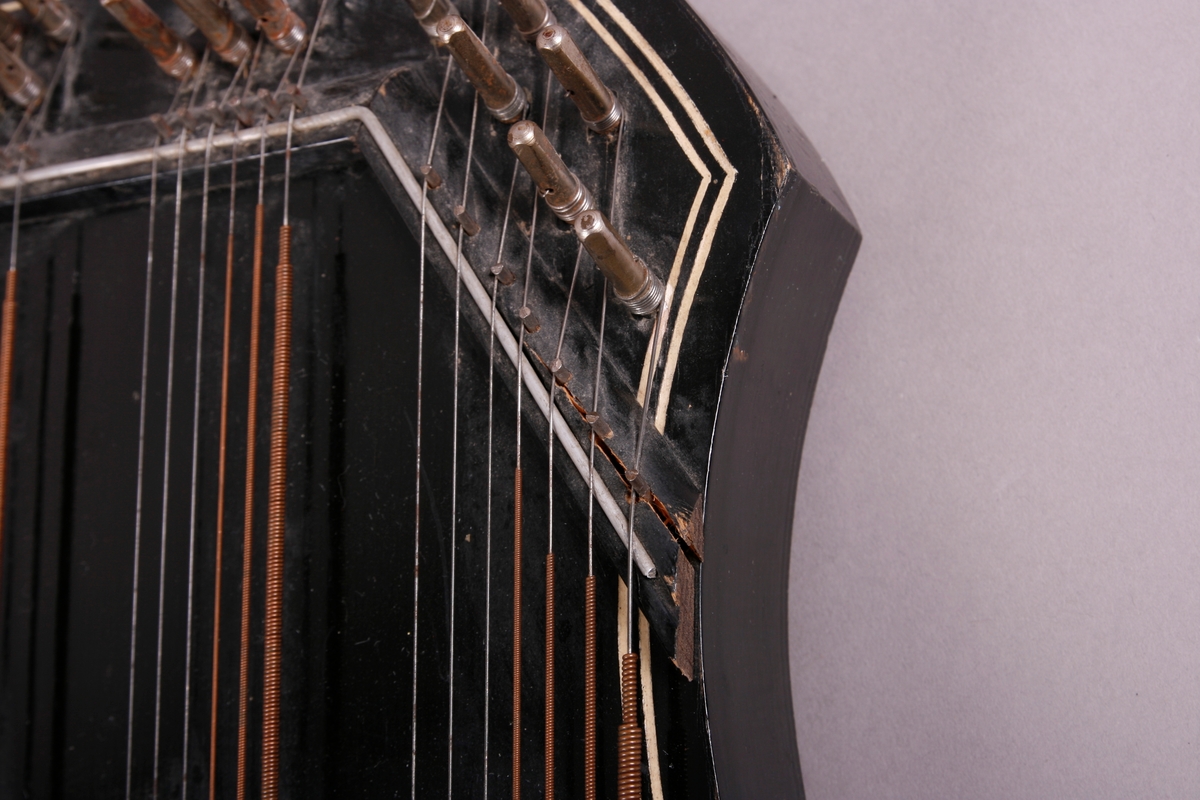 Rektangulær korpus i svartmalt tre. Buet sarg på høyre side, sett forfra. Et anheng er påskrudd nederst på instrumentet, og beskytter strengefestet. Dekor i form av to paralelle linjer går langs ytterkanten på lokket. Stemmestokk og stol i øvre kant. Blomstermotiv på lokket, over lydhullet. Etikett inne i lydhullet; blå bokstaver på hvitt papir. 

Citeren har sju akkorder: F, C, G, D, A, E, H. Totalt 64 strenger. Tersen i hver akkord kan endres ved hjelp av en spake som kan løftes opp. Dermed kan man spille i både dur og moll.