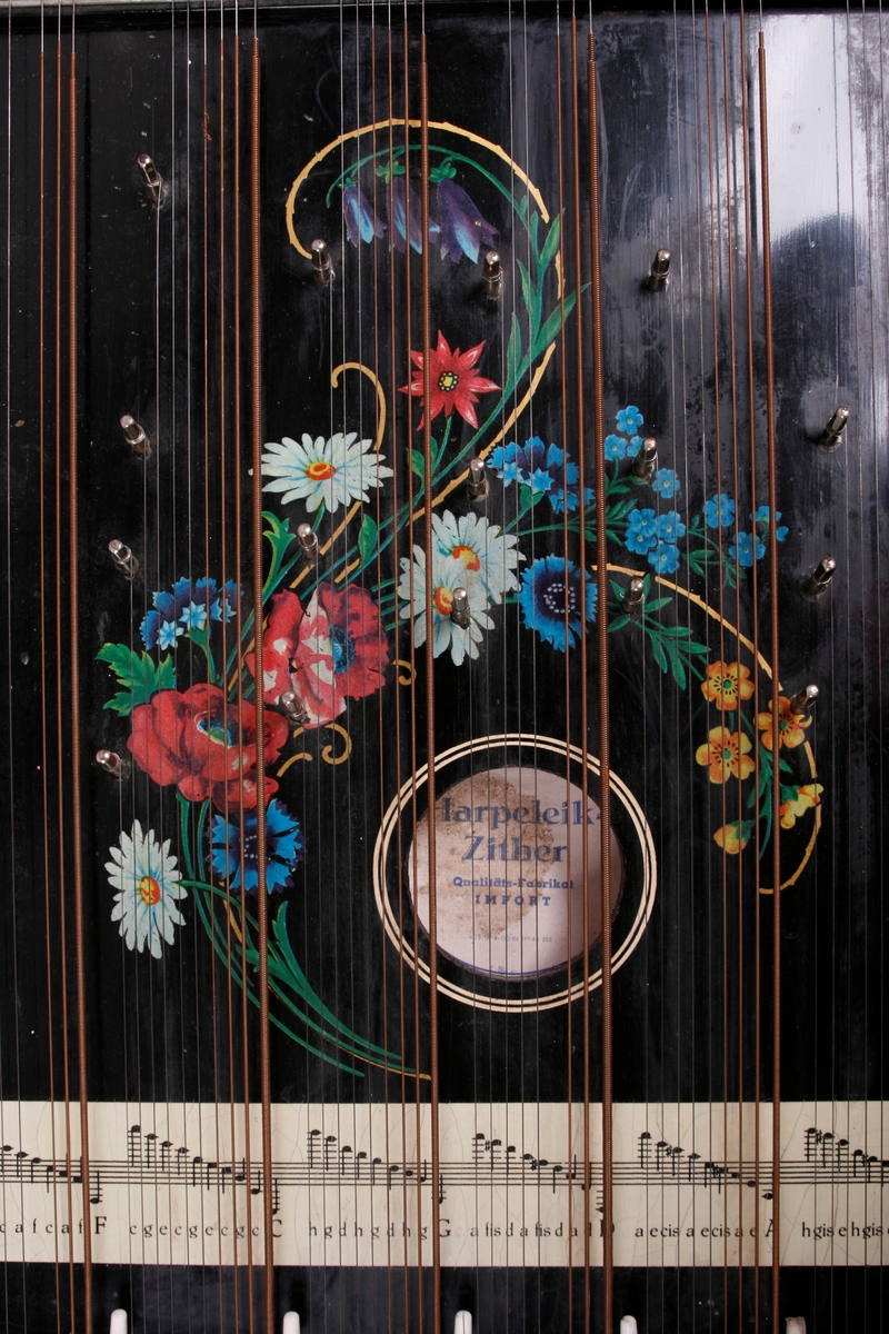 Rektangulær korpus i svartmalt tre. Buet sarg på høyre side, sett forfra. Et anheng er påskrudd nederst på instrumentet, og beskytter strengefestet. Dekor i form av to paralelle linjer går langs ytterkanten på lokket. Stemmestokk og stol i øvre kant. Blomstermotiv på lokket, over lydhullet. Etikett inne i lydhullet; blå bokstaver på hvitt papir. 

Citeren har sju akkorder: F, C, G, D, A, E, H. Totalt 64 strenger. Tersen i hver akkord kan endres ved hjelp av en spake som kan løftes opp. Dermed kan man spille i både dur og moll.