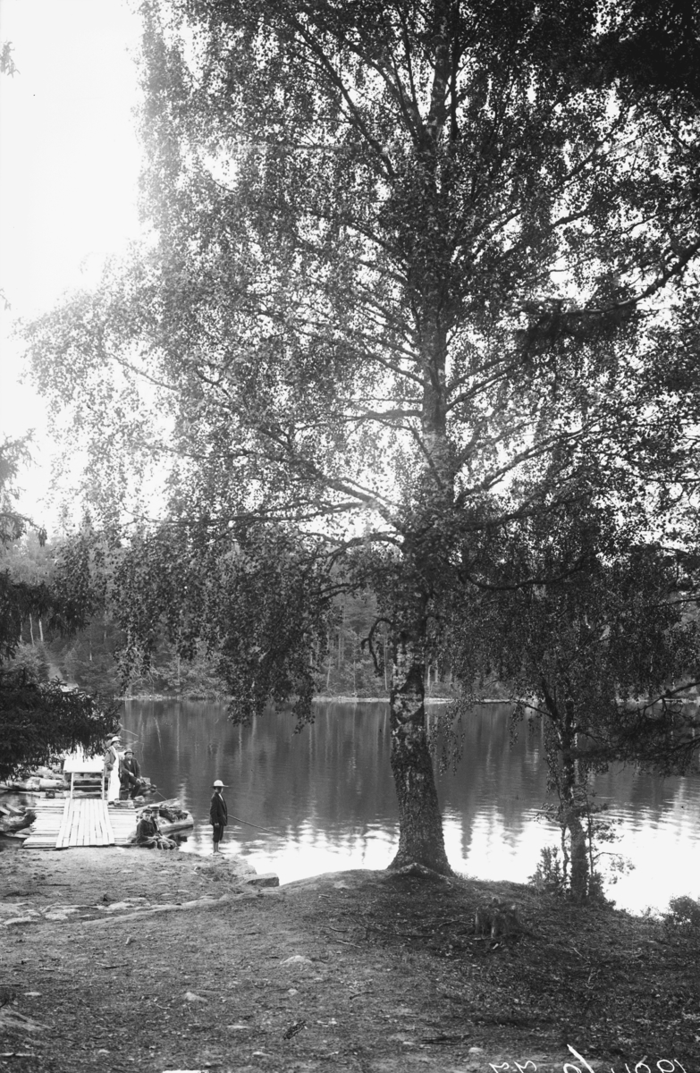 Vid sjön Hindsen i Värnamo står några människor och fiskar.