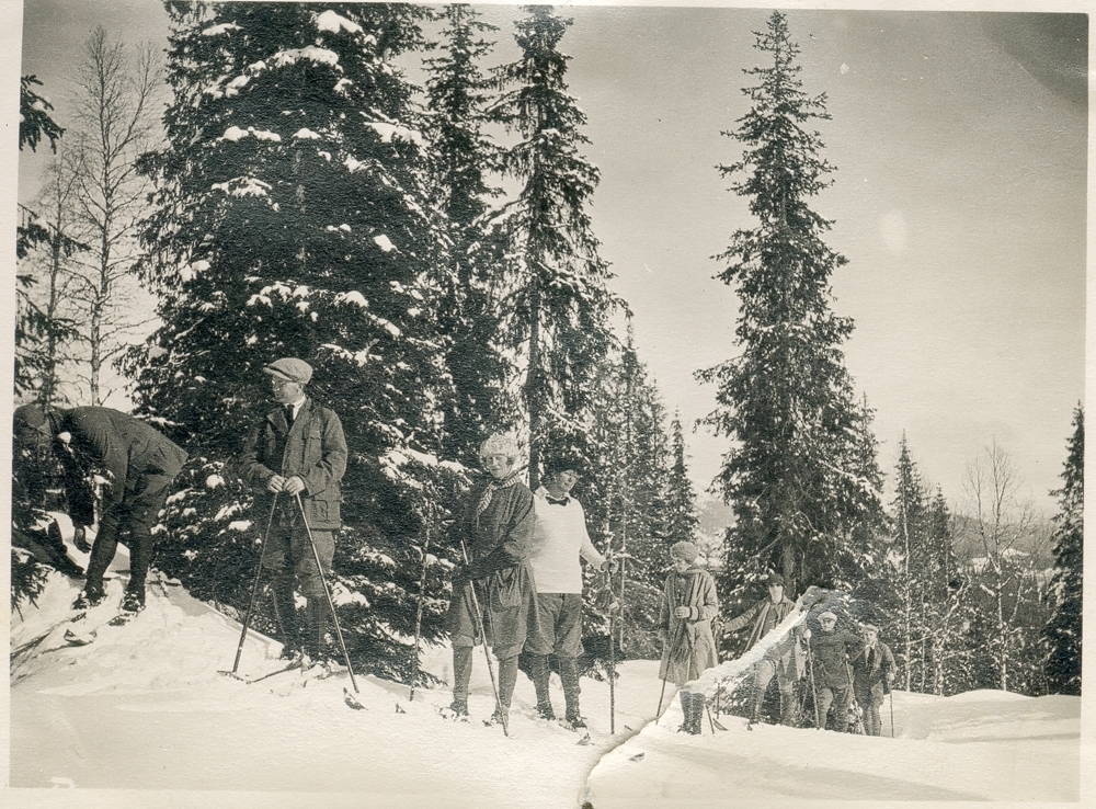 Gruppe kvinner og menn ute i skogen på ski. Høye grantrær.