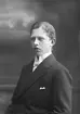 A. F. Borgströms son