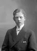 A. F. Borgströms son