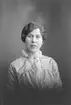 Alma Larsson. Lasarettet, Gävle