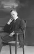 Holger Hongisto. Porslinsfabriken