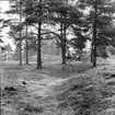 Fornlämning nr 303,
Gravhögar,
Ön.