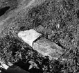 Runstensfragment, från runsten Gs 5, funna vid Hedesunda kyrka 1954, Hedesunda.