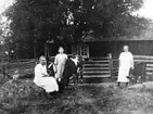 Ullanda-vallen.
Motiv från fäbodvallen i Ullanda 1910-1923.
Okända fäbodflickor.