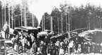 Järnvägsolyckan vid Åsberg 10 september 1904.
Olyckan förorsakades av att en ribbvagn vid sågen var för långt utskjuten på stickspåret mot järnvägen varvid tåget törnade mot den.