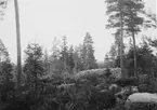 Fonminne nr 23-24 Signalberget. Gävle stad.
Foto 1931