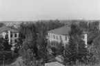 Utsikt från hotellet.