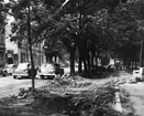 Gatuarbeten på på Stora Esplanadgatan. Till vänster kvarteret Olov Knagge.