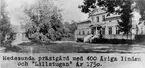 Hedesunda Prästgård.
Med 400 åriga linden och 