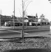 Hamntorget, nuvarande busstation.
