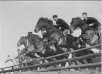 Remontryttarna på andraårsremonter, tränar hinderhoppning på södra fältet. Från höger i bild: Nils Johansson (senare motorunderbefäl), Dickens, Holmberg, Granelid (syns endast mössan), Spets (även stallfurir i Remont-stallet).