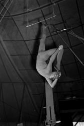 Bill Reading, sirkusartist, trapeskunstner, Cirkus Berny. Bi