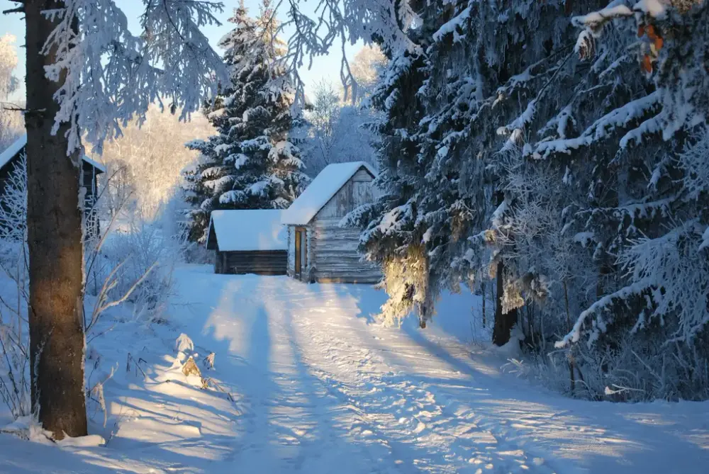 Vinterlandskap med snø og to snødekte bygninger langs stien. Trær på siden av stien i forgrunnen.