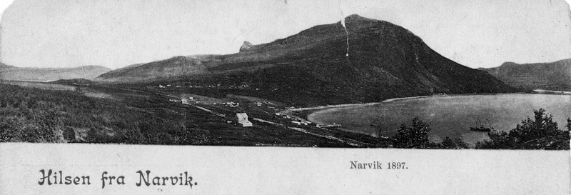 Panorama fra Fagernes til Taraldsvik. Narvikgården. Stenhuset. Viktoriahavn.