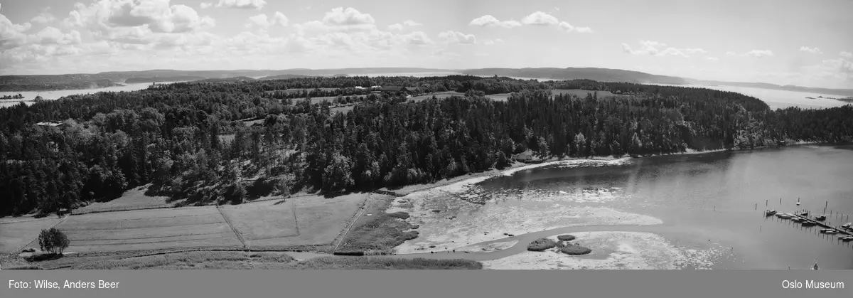 utsikt, skog, Bygdøy kongsgård, jorder