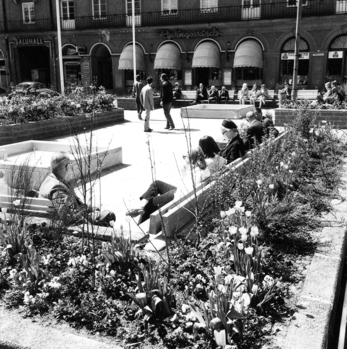 Vy över Trädgårdstorget sedd från S:t Larsgatan. Delfinpalatset i bakgrunden.

Trädgårdstorget hette ursprungligen Tanneforstorget, men kallades vanligen Köttorget eftersom kötthandeln ägde rum där. När grönsaker blev huvudprodukten gavs torget namnet Trädgårdstorget. 1926 förändrades torget från triangulär form till en rektangulär form.