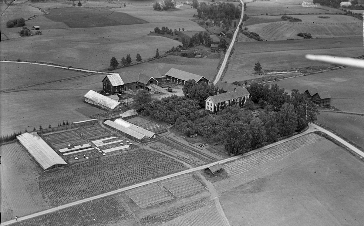 Stange, Sakslund gård, flyfoto, gardsbebyggelse, drivhus, gartneri.