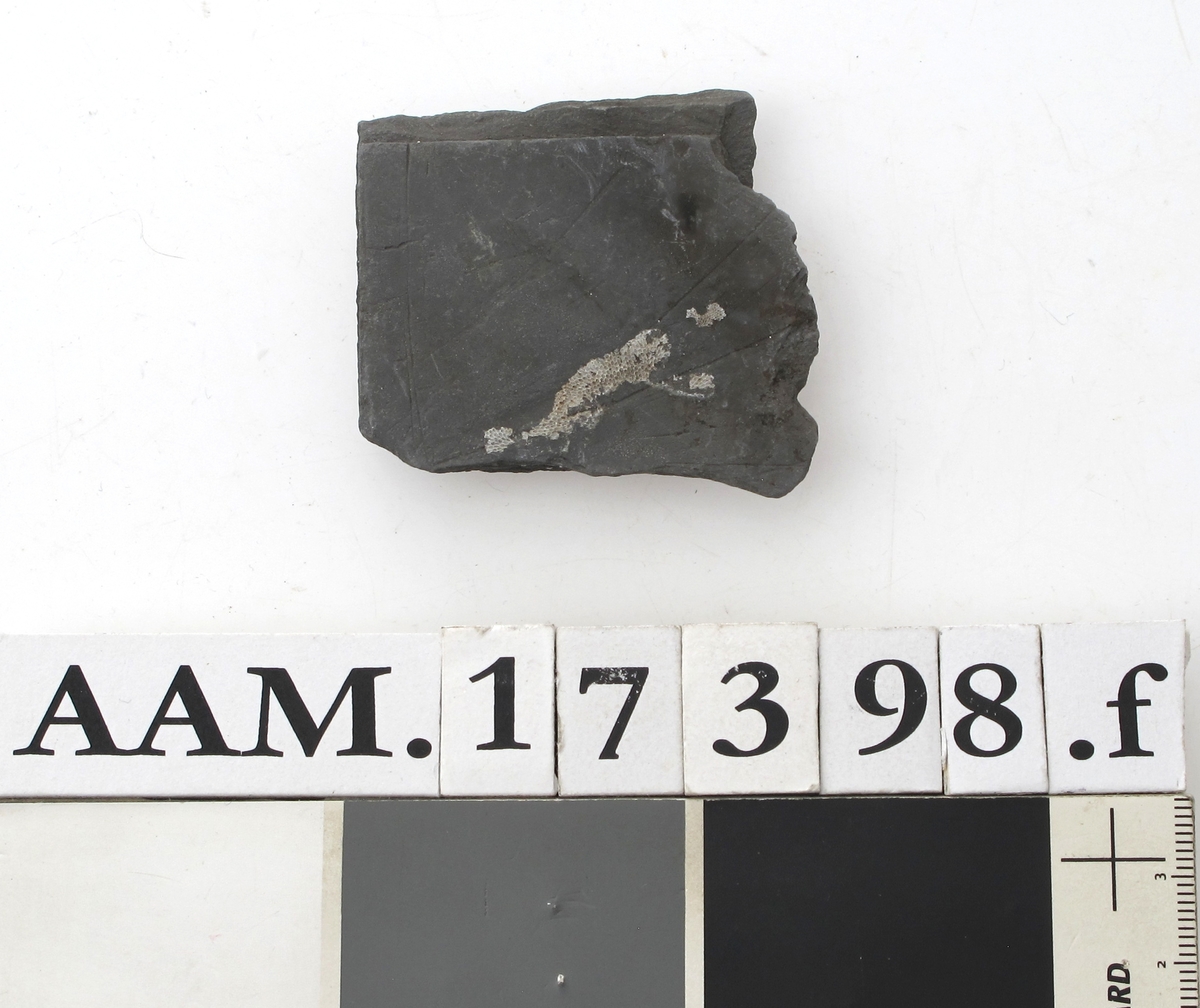 Skifertavle i fire deler .  
a)  17,7 x 8. Femkantet hjørnestykke.  
b)  15 x 6,3. Hjørnestykke med et hakk,  den lengste side er buet. A-b = G 1435.  
c)  16,5 x 5,8. Smalt spisst bladformet. = G 1153.  
d)   Lite skiferstykke. L. 4,8. B. 1,5