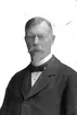 Georg Chruzander, lektor, Fil. dr., Stadsfullmäktig