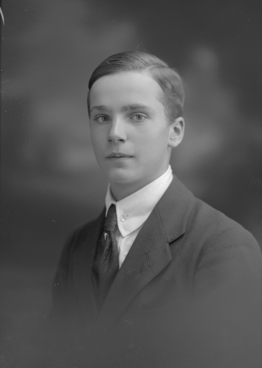 Lars Oscar Göransson, Åsen, Kungsgården -Länsmuseet Gävleborg