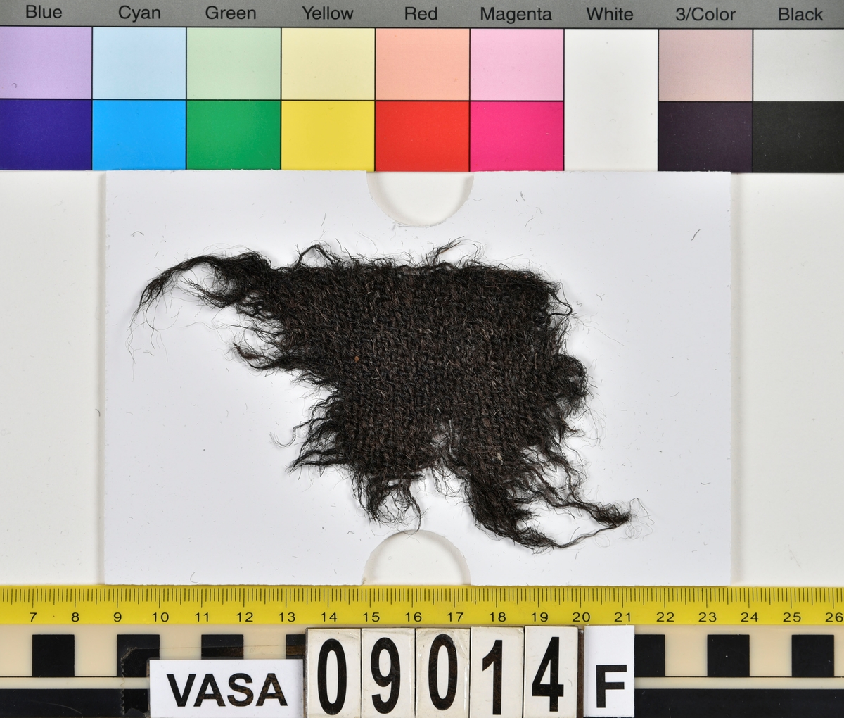 Textildokumentation 2018
Textil, fyndnumret består av mer än 50 st fragment uppdelade på 09014a-h.
Kontextgrupp ÖB20 (övriga fyndnummer i gruppen: 07732, 07762, 09228)
Relaterade fynd: Kontextgrupp ÖB17 och ÖB 18.
.
Fnr 09014a Typnr ÖB20.3:1
Sammanfattning - Ett textilfragment av ull vävt i tuskaft. Färgen är nu mörkbrun, fibrerna varierar i färg vilket tyder på att det är naturfärgad ull. Fibrerna är i vissa partier skadade på ytan och ser därför vita ut. Väven är tunn, jämn och fin och har inga spår av ytbehandling. Fragmentet har tre tillskurna kanter, två av dessa har spår av tre olika sömmar (söm 1: kvicksöm/förstygn). Formen tyder på att det är ett skört till en tröja. Andra delar: Jämför med 07726. 
.
Fnr 09014a Typnr ÖB20.4:1
Sammanfattning - Ett textilfragment av ull vävt i tuskaft. Färgen är nu mörkbrun, originalfärg okänd. I mikroskop ser tyget blåsvart ut. Väven är mycket jämn och slät. I sömsmånen på sida A finns bevarad lugg, på sida B är luggen så välbevarad att bindningen inte syns. Fragmentet har två tillskurna kanter med hål och avtryck av sömmar, även trådrester finns (söm 1: kaststygn - fälld kant, söm 2: ev förstygn - sammanfogande, söm 3: kaststygn - fälld kant). På sida B finns blåfärgad ull och silkesfibrer. 
.
Fnr 09014a Typnr ÖB20.5:1
Sammanfattning - Ett textilfragment av ull vävt i tuskaft. Väven är jämn och tät. En av kanterna är troligen tillskuren, inga sömrester finns. Tyget har inga spår av ytbehandling. På ytan finns en del bastfibrer. Relaterade fynd: Vävens struktur liknar ÖB20.4:1 men tygerna har ändå olika karaktär och detta fragment saknar lugg. 
.
Fnr 09014a Typnr ÖB20.6:1
Sammanfattning - Ett textilfragment av ull vävt i tuskaft. Färgen är nu brun, originalfärg är okänd men möjligen naturfärgad, fibrerna är mycket släta och varierar i färg från brun till nästan svart. Fragmentet är litet och mycket skadat, endast några få bindepunkter återstår vilket försvårar mätningar. 
.
Fnr 09014a Typnr ÖB20.7:1
Sammanfattning - Ett textilfragment av  ull vävt i tuskaft. Färgen är svartbrun, originalfärg okänd men möjligen naturfärgad då fibrernas färg varierar. Inga tydliga spår av ytbehandling. Väven är jämn men garnet är hårt spunnet vilket ger tyget en kypertkaraktär (falsk kypert). Fragmentet har inga tillskurna kanter eller sömmar. På ytan finns enstaka vita silkesfibrer.
.
Fnr 09014a Typnr ÖB20.8:1
Sammanfattning - Ett textilfragment av ull. Fragmentet är mycket litet och dåligt bevarat så bindningen är svår att avgöra, troligen 2/2 kypert. Färgen är svart, möjligen naturfärgad ull då fibrerna varierar något i färg. Tyget har ingen synlig ytbehandling. Garnet är hårt spunnet vilket ger tyget en speciell karaktär. 
.
Fnr 09014b Typnr ÖB17.1:8-11
Sammanfattning - Fyra textilfragment av ull vävt i tuskaft. Färgen är mörkbrun, originalfärg okänd men den bruna tonen slår mot röd. Tre av fragmenten har tillskurna kanter och spår av sömmar. Andra delar, som troligen kommer från samma tröja, är fnr 03261a och d, 09014h samt 09228a. 
Fragment ÖB17.1:9 - Fragmentet har två tillskurna kanter varav den ena har spår av en söm. Fragmentet är troligen sidostycket till en tröja. Den tillskurna kanten har då varit monterad mot tröjans bakstycke och bör ha hört samman med fyndnummer 03261d, vilket är ett bakstycke till en tröja.
Fragment ÖB17.1:10 - Fragmentet är mycket skadat men är troligen av typen ÖB17.1. Formen är densamma som för del av fragment ÖB17.1:9 och kan därför vara en dubblering av detsamma, alternativt det motstående sidostycket.
.
Fnr 09014c Typnr ÖB20.9:1-19
Sammanfattning - Nitton textilfragment av ull vävt i tuskaft. Färgen är brun, originalfärg okänd. Sida B har en kort tät lugg som döljer bindningen. På sida A finns ingen lugg och bindningen är synlig. Fjorton av fragmenten har tillskurna kanter och sömmar. Tre av fragmenten har sydda knapphål. Flera fragment är dräktdelar, till exempel finns en fragmentarisk krage. På ytan på flertalet fragment finns fibrer i flera klara färger, till exempel rosa, röd och blå. Vita fibrer finns i stor mängd, kan vara recenta.

Fragment ÖB20.9:1 - Fragmentet har flera tillskurna kanter med avtryck och hål efter olika typer av sömmar (söm 1: ev. sammanfogande, söm 2: kaststygn - fåll, söm 3: kaststygn - sammanfogande, söm 4: kaststygn - sammanfogande, söm 5: osäkert, söm 6: osäkert), trådrester finns. Kanterna och sömmarnas karaktär gör att sida A bedöms vara plaggets rätsida/utsida. Några hål som ej är stygnhål men kan vara original finns. I fragmentet sitter fast två stycken silkestrådar (söm 7: silkestråd med knut, fäst i tyget, söm 8:  silkestråd med ögla, fäst i tyget). Det är samma typ av tråd som knapphålen på fragment ÖB20.9:2 är sydda med. På sida A finns ett område med extra mycket korrosion och även en långsmal vitaktig avlagring.

Fragment ÖB20.9:2 - Fragmentet har inga bevarade tillskurna kanter, dock finns en någorlunda välbevarad rad med knapphål. Samtliga knapphål är trasiga i ena sidan så deras ursprungliga storlek går ej att avgöra. Knapphålen är sydda med knapphålsstygn i silkestråd och sitter med 13-15 mm mellanrum (c/c mått). Det tvärställda tränsen består av ca 10 stygn och syns ej på sida B, tränsens knutar sitter vända från knapphålet. På sida B anas rester av bastfiber under knapphålsstygnen, troligen från en dubblering av tyget eller ett foder. 

Fragment ÖB20.9:3 - Fragmentet har fyra stycken knapphål, varav ett är helt. Knapphålen är skurna på skrådden. Eventuellt finns spår av en söm längs en del av kanten. Knapphålsstygn och trådrester är mycket fragmentariska.

Fragment ÖB20.9:4 - Fragmentet har tre stycken knapphål.  Knapphålen är sydda med knapphålsstygn i silkestråd. Knapphålens längd är 19-20 mm och de sitter med 18-22 mm mellanrum (c/c mått). Eventuellt är fragmentets ena kant en sömsmån, kan ha varit monterad mellan andra tyglager (kanten har avvikande färg). Under knapphålsstygnen på sida B finns rester av annat material, eventuellt bastfiber. Bastfibrer finns också utspridda över ytan på sida B, kan vara rester av en dubblering till tyget eller ett foder, se fragment 9:2. På sida A finns avlagringar och korrosion. 

Fragment ÖB20.9:5 - Fragmentet har bristningar i tyget som ser ut som knapphål, dock finns inga rester av stygnhål eller tråd. Fragmentets ena kant är troligen en sömsmån, kan ha varit monterad mellan andra tyglager (kanten har avvikande färg). Enstaka spår av söm och tråd finns längs kanten (söm 1), dessa är mycket otydliga. På fragmentets andra (mycket trasiga) kant finns ett mycket tydligt stygnhål. Fragment 9:4 och 9:5 ser ut att kunna höra ihop, dock går trådsystemen åt olika håll så det är inte fallet.

Fragment 9:6-9 - Till det stora fragmentet 9:6 hör det lilla lösa fragmentet 9:7. I fragment 9:6 sitter två fragment fastsydda, 9:8 och 9:9. De sammansydda fragmenten har tre tillskurna kanter och spår av minst fem sömmar (söm 1: kaststygn, söm 2: förstygn el. liknande - sammanfogande, söm 3: kaststygn, söm 4: sammanfogande, fäster ihop 9:6 med 9:8 och 9:9, söm 5: två stygnhål), trådrester finns. Det är troligt att 9:8 och 9:9 är delar av samma tillskurna bit, och att den utgjort en dubblering till 9:6 (inklusive 9:7). Den tillskurna formen ser ut att vara en krage. Fragmentet skulle då vara en halv krage, bevarad från framkant till nästan mitt bak. På sida A finns en beläggning på delar av ytan. På sida B finns en mängd fibrer i klara färger: blå, vit, rosa, tegelröd, orange, karminröd, grön, mörkgul och grå. fibrerna ligger ytligt med nästan samtliga sitter delvis fast i tygets lugg eller har en eller båda ändar nere i vävens bindning. Fibrerna bör därför vara ursprungliga. Sida A har en mindre mängd av nämnda fibrer, mest förekommande på ytan av fragment 9:8 och 9:9.

Fragment ÖB20.9:10 - Fragmentet har två tillskurna kanter. Dessa är invikta mot sida B som en 6-7 mm bred fåll som är fastsydd med kaststygn, trådrester finns (söm 1 och 2). Fragmentet kan vara ett skört till en tröja. På båda sidors yta finns fibrer i klara färger: grå, ljusblå, orange, orangebrun, vitgul, blå svart, vit, röd, korallröd och rosa.

Fragment ÖB20.9:11 - Fragmentet har tre tillskurna kanter med sömmar. Två av kanterna är invikta och fastsydda mot sida B, som fållar (söm1: kaststygn - fåll, söm 2: kaststygn - fåll). Stygnen går ej igenom till sida A men sömmen syns som bucklor i fragmentets yta. Söm 3 längs den tredje kanten har troligen varit en sammanfogande söm sydd med kaststygn. Stygn och trådrester finns bevarade från samtliga sömmar. Under fållen vid söm 1 finns ett litet fragment av en annan textiltyp. Troligen ursprungligen en dubblering eller liknande. Fragmentet är ca 10x5 mm stort och har fått typnummer ÖB20.16:1. På ytan på sida B finns enstaka bastfibrer.

Fragment ÖB20.9:12 - Fragmentet har två tillskurna kanter med sömmar (söm 1: ev kaststygn, söm 2: osäker). Vid söm 2 är sömsmånen vikt mot sida B. Vid söm 1 är kanten inte vikt. Fragmentet har samma form som ÖB20.9:6, "kragen".

Fragment ÖB20.9:13 - Fragmentet har två tillskurna kanter med sömmar (söm1: sammanfogande, söm 2: osäkert). De två övriga kanterna är eventuellt också de tillskurna men spår av eventuella sömmar är för otydliga. Enstaka fibrer med klara färger (rosa, blå, vit) finns på båda sidor, fler på sida B. Vid söm 2 finns på ett ställe en fiberknippa som kommer upp ur vävens bindning, kan vara rester av en tråd och är eventuellt halsplat silke. 

Fragment ÖB20.9:14 - Fragmentet har en tillskuren kant med söm (söm1: ev sammanfogande). I stygnhålen finns rester av tråd.
.
Fnr 09014c Typnr ÖB20.10:1
Sammanfattning - Ett textilfragment av ull vävt i tuskaft. Färgen är brun, originalfärg okänd. Sida B har en kort och tät lugg, bindningen syns bara på sida A. Längs ena kanten finns tre stycken tydliga hål. Hålen är gjorda med ett verktyg som skär av fibrerna snarare än tränger undan dem.
.
Fnr 09014c Typnr ÖB20.16:1
Sammanfattning - Fragmentet är mycket litet och sitter inuti den invikta fållen på fragment 09014c ÖB20.9:11, det sticker bara fram någon millimeter. Fragmentet är mycket skört. Bevarandegrad och storlek gör mätningar svåra. Det är olika garn i trs 1 och trs 2. Sida B är täckt av en lugg, på sida A syns bindningen, om än fragmentariskt.
.
Fnr 09014d Typnr ÖB18.16:2-8
Ej dokumenterad
.
Fnr 09014d Typnr ÖB20.11:1-2
Ej dokumenterad
.
Fnr 09014e Typnr ÖB20.12:1-4
Sammanfattning - Fyra textilfragment av ull vävt i tuskaft. Färgen är brun med inslag av täckhårsfibrer i en mörkare brun färg, originalfärg okänd. Fragmenten är mycket fragmentariska med trs 1 bättre bevarat än trs 2. Enbart på en del av fragment ÖB20.12:1 finns trs 2 samt bindningen bevarad. Utspridda över tygets yta finns grova bastfibrer samt korrosionsfläckar. 
.
Fnr 09014f Typnr ÖB20.13:1
Sammanfattning - Ett textilfragment av ull vävt tuskaft. Färgen är mörkbrun, fibrerna varierar mellan ljus och mörk brun. Originalfärg okänd, möjligen naturfärgad ull. Garnet är hårt spunnet vilket ger väven en särskild karaktär, sida A har en mer strukturerad ytan än sida B. Fragmentet har inga tillskurna kanter. På sida A finns enstaka röda och gulgröna silkesfibrer, samt bastfibrer. På sida B finns enstaka blå, vita och rosa silkesfibrer.
.
Fnr 09014g Typnr ÖB20.14:1-3
Sammanfattning - Tre textilfragment av ull och bastfiber vävt i tuskaft. Färgen är beige för bastfibern (trs 1) och svartblå för ullen (trs 2). Trs 2 är mycker grövre än trs 1. Trs 1 är nästan helt försvunnet. Två av fragmenten har tillskurna kanter och ett har spår av en sömsmån. På ytan av fragmenten finns en stor mängd bastfiber samt en vit/rosa tuss med silke. På fragment 14:2 finns några intensivt blå ullfibrer.
.
Fnr 09014h Typnr ÖB17.1:12-13
Sammanfattning - Två textilfragment av ull vävt i tuskaft. Färgen är brun, originalfärg okänd. Det större fragmentet är tillskuret och har spår av sömmar. Fragmentet är en ensömsärm med sömmen placerad mitt bak på ärmen. På ytan finns stora rostfläckar. Andra delar: Hör troligen (trots färgskillnad) till skelettet Beatas tröja, se fnr 03261a-d, 09228a, 09014b och h.
