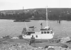 Bogserbåten ELLEN, tillhörig Svenska Cellulosa AB, fotograferad 28 september 1968