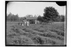 Gubbhagen, Klockhammar, Kils socken
Bostadshus, enkelstuga, timrad, familjegrupp 6 personer.
G. Johansson