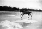 Isgalopp på sjön Freden. Strömsholm 1910-11.