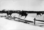 Jaktritt i snö. Strömsholm 1910-11.