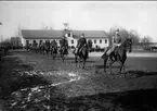 Uppvisning på stallplan. Strömsholm 1910-11.