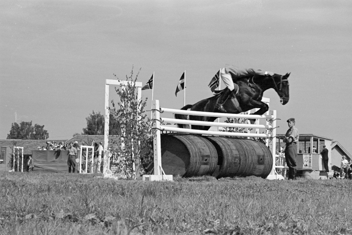 Ridestevne, Utstillingsplassen, Hamar. 