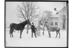 J.E. Öholm
Mangårdsbyggnad.
Man med tre hästar.