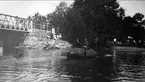 Simträning av häst efter flytsäck i strömmen vid järnvägsbron vid Kvicksund. Strömsholm 1910-11.