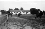 Dressyrridning på fyrkantspår på stallplan. I bakgrunden lilla ridhuset och vagnsstallet. Strömsholm 1910-11.